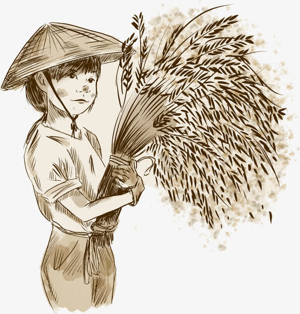 稻田少女抱稻穗高清PNG透明图，手绘卡通素材，免费下载！