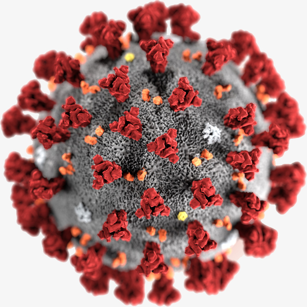 冠状病毒细菌PNG透明图，高清装饰元素与花纹设计素材下载