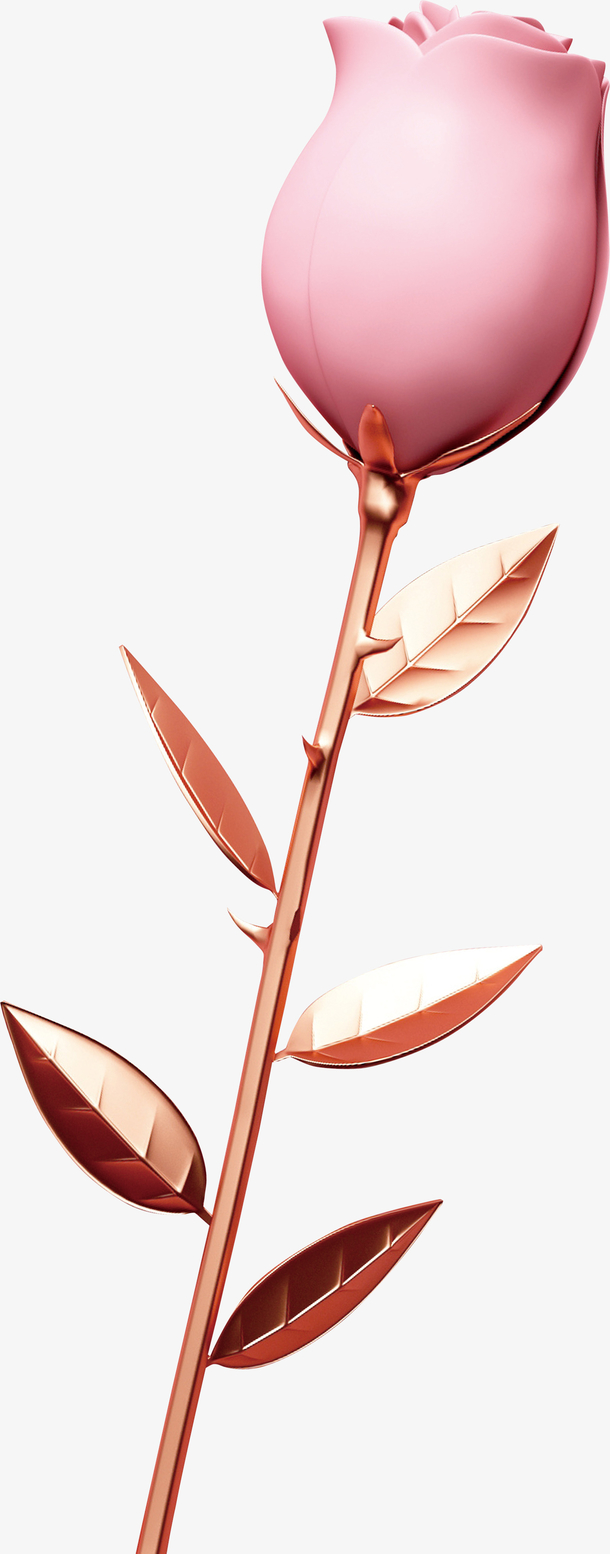 C4D粉红玫瑰PNG透明免扣素材，高清设计元素下载
