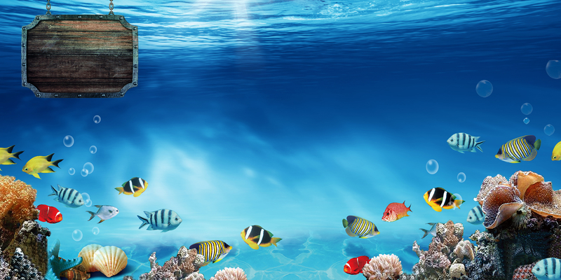唯美海底世界，高清JPG海报背景模板，另类PSD设计素材免费下载