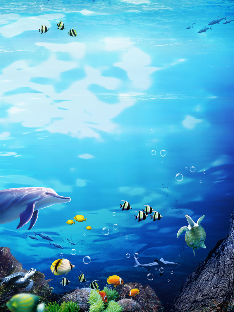 夏天海底世界背景海报，高清JPG与另类PSD设计素材免费下载