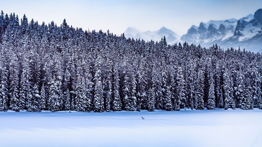 森林山脉雪景冬日自然之美，高清4K壁纸，3840x2160分辨率，畅享绝美风景图片下载