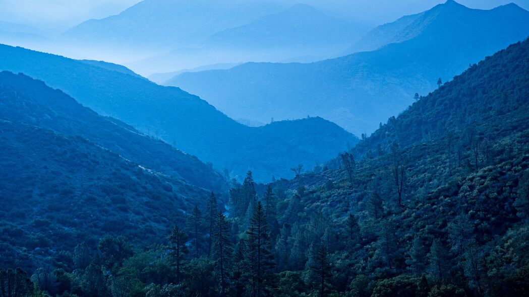 丘陵森林自然美景，高清4K树木景观壁纸（3840x2160）下载