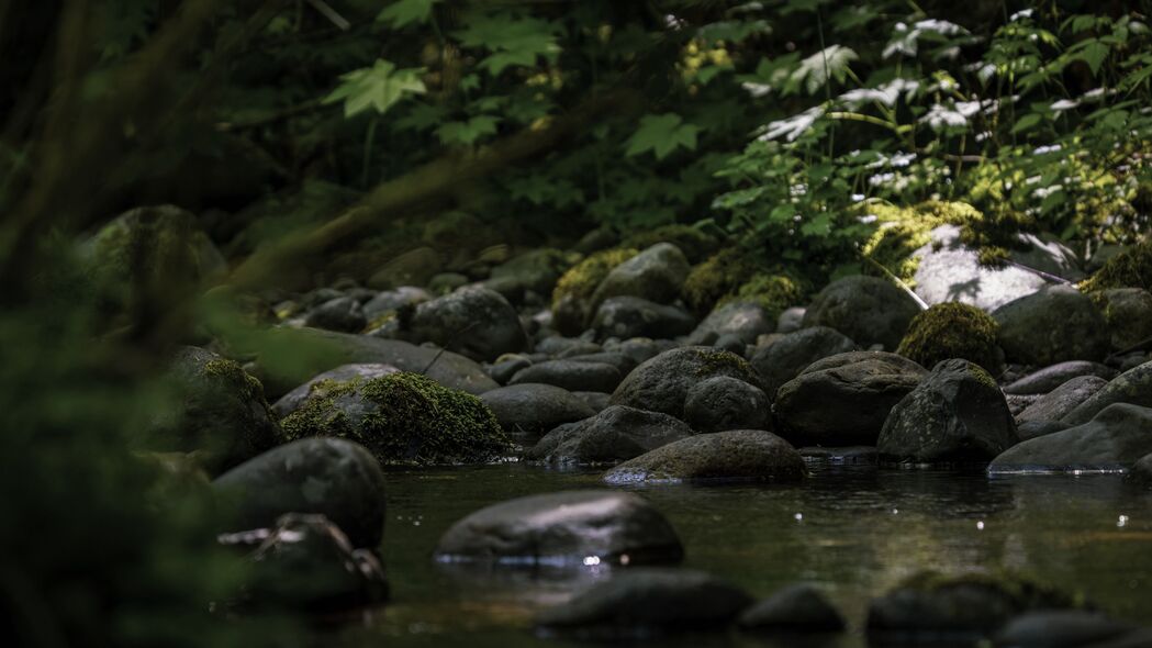 石头溪流苔藓树叶自然美景，4K高清壁纸3840x2160免费下载