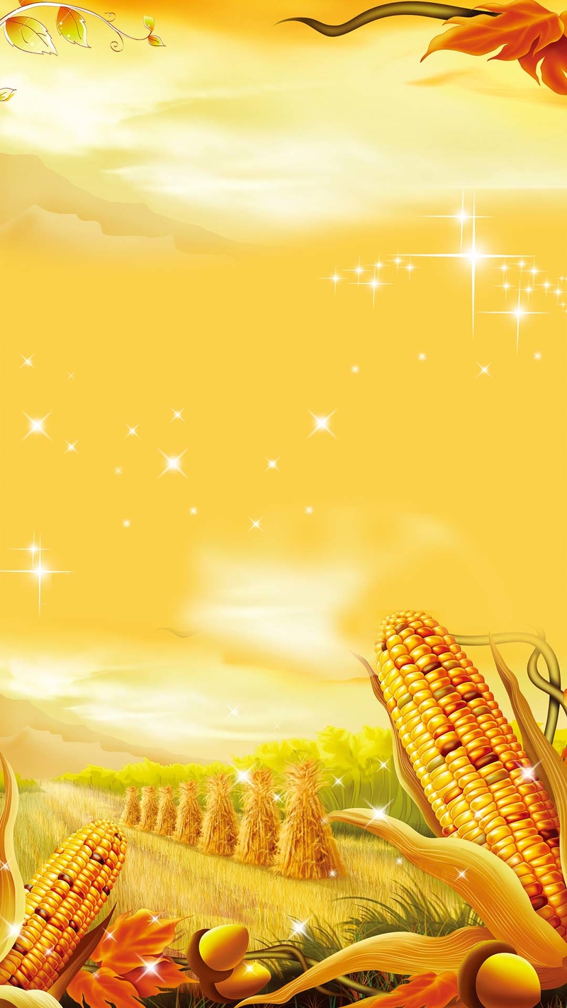 金色秋天玉米丰收麦堆H5背景设计素材，高清JPG图片下载