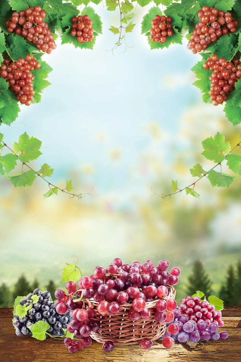 葡萄采摘盛宴，清新熟果海报背景，高清JPG设计素材下载