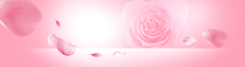 粉色玫瑰绽放，浪漫海报背景素材，高清JPG图片，创意另类设计下载