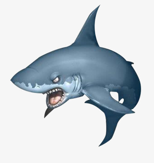 3D大白鲨PNG透明图片，高清动物装饰元素，设计素材免费下载