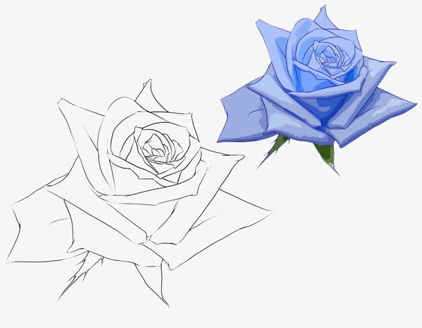 手绘玫瑰PNG透明图，节日元素精选，情人节设计素材下载