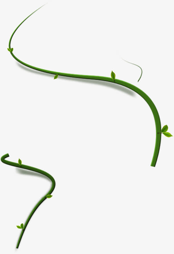 绿色藤蔓PNG透明图，高清植物装饰元素，设计素材免费下载