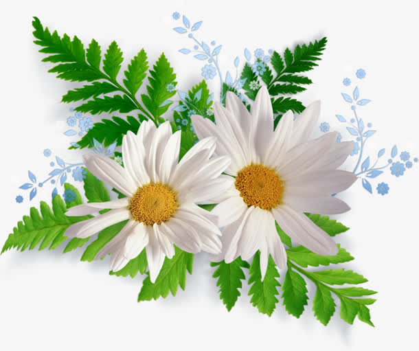 古风绿叶白花与蓝花PNG透明图片，高清植物装饰元素素材下载