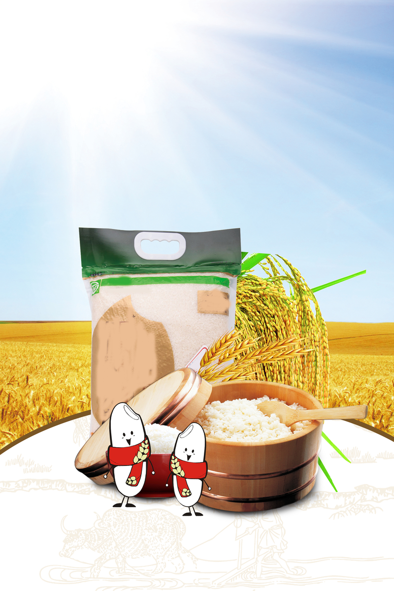 卡通水稻田有机大米，创意海报背景素材，高清JPG下载