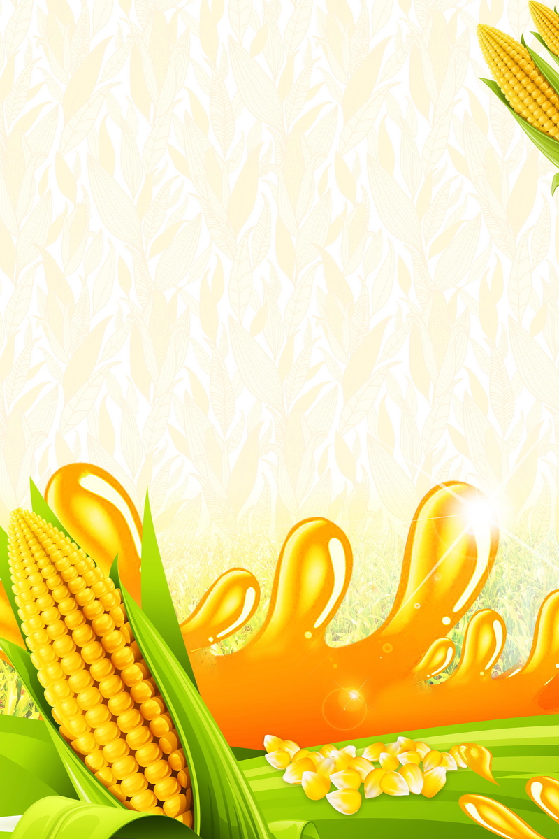 玉米油高清图片，健康食用油设计素材，另类JPG图片免费下载