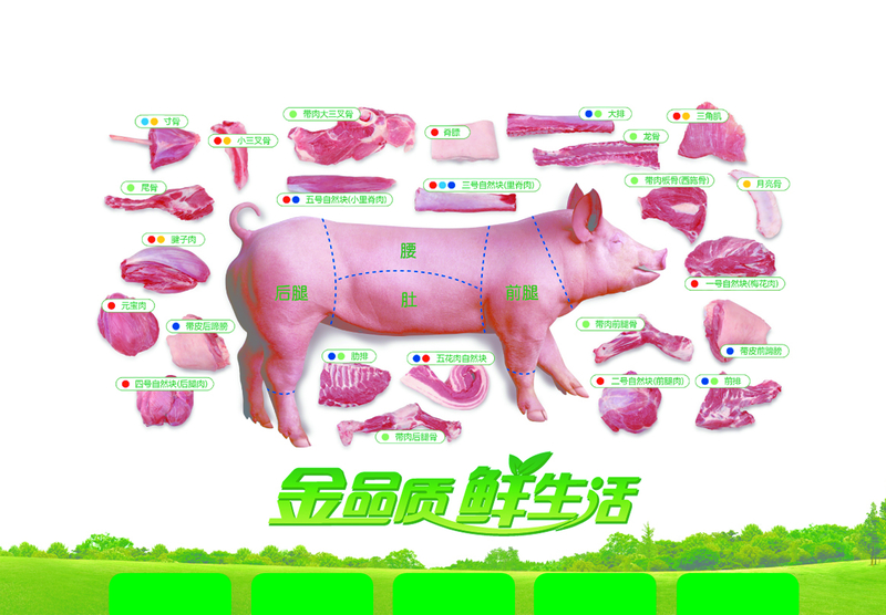 高清JPG猪肉结构鲜肉海报背景，另类创意图片设计素材下载