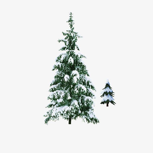 高清透明PNG，雪中圣诞树，节日元素设计素材，免费下载享圣诞氛围