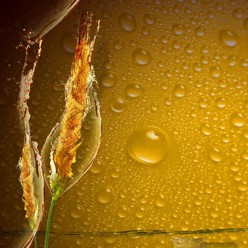 高清麦穗水珠背景图JPG，独特图片设计素材，免费下载