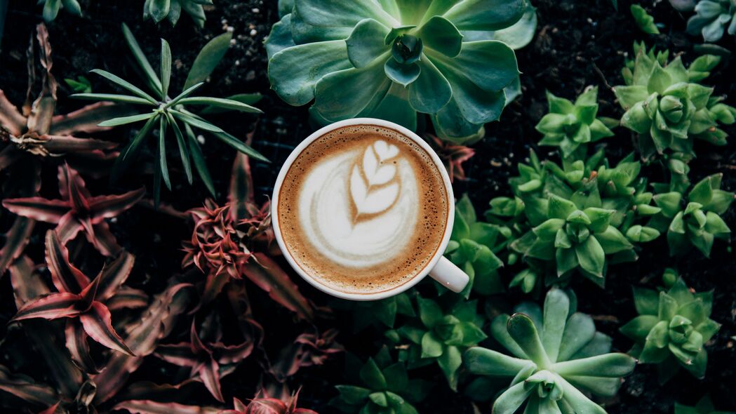 绝美卡布奇诺咖啡杯，泡沫缭绕，鸟瞰植物盛景，4K超高清壁纸下载（3840x2160）