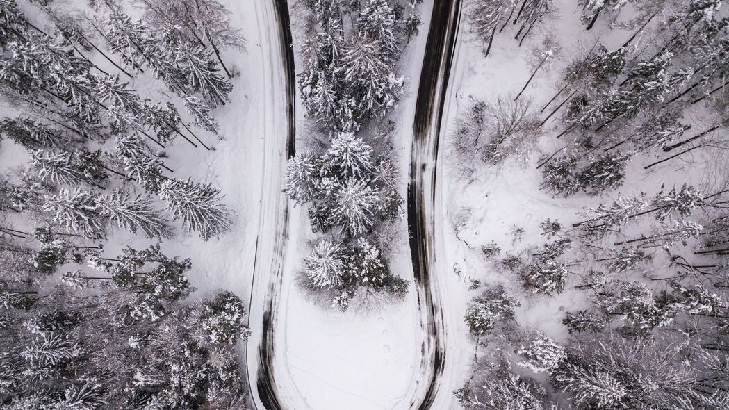 绝美4K自然壁纸，冬日雪景下的树木森林鸟瞰，高清3840x2160分辨率下载