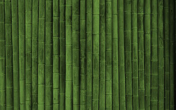高清绿色竹子宽屏PNG透明背景素材，优雅底纹，设计首选，免费下载
