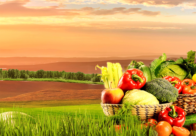 高清食品、水果与蔬菜JPG图片素材，另类设计与下载资源