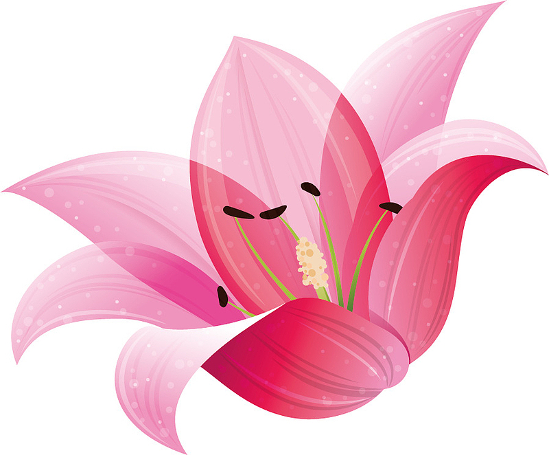 高清粉色花朵PNG透明图，动植物元素植物设计素材，免费下载