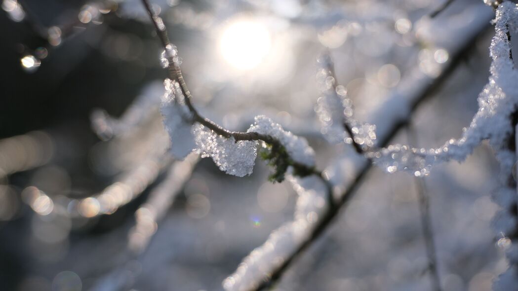 冬日雪景宏观视界，树枝裹雪，4K高清壁纸，3840x2160分辨率，尽享模糊艺术之美，一键下载