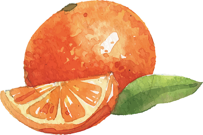 优质水彩橘子水墨水果PNG透明素材，高清动植物元素，植物图片设计下载