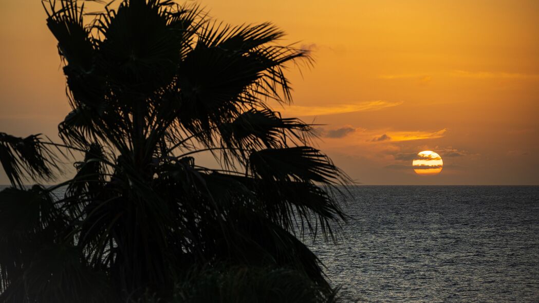 绝美海景壁纸，太阳照耀海平线，棕榈树与云彩共舞，4K高清3840x2160下载