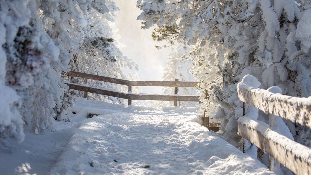 冬日雪景，树木银装素裹，4K超高清壁纸（3840x2160）免费下载，尽享自然之美