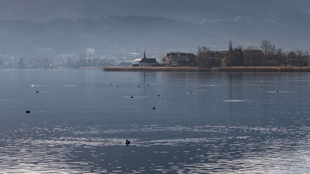 绝美湖景，鸟鸣波纹间，雾中建筑物映海岸，4K高清壁纸3840x2160免费下载