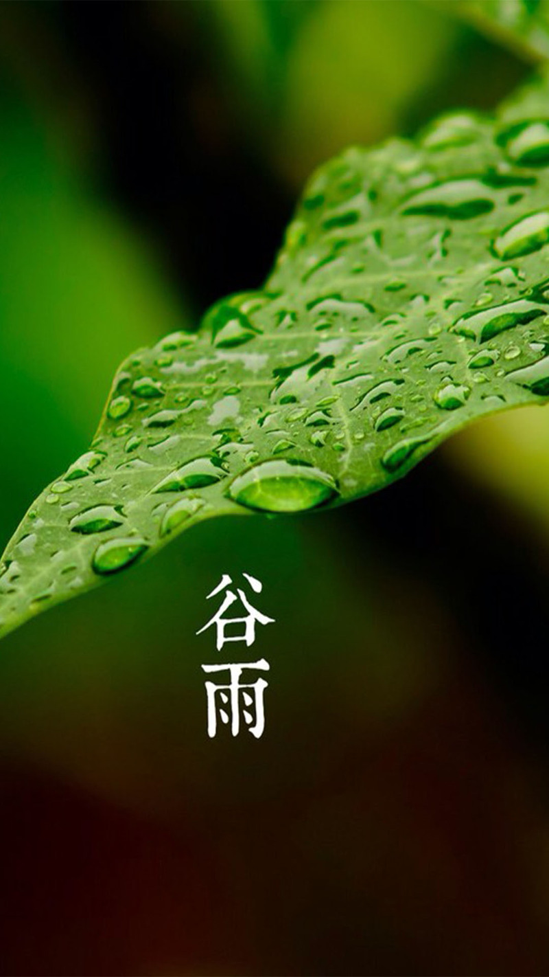 谷雨复古中国风H5素材背景，高清JPG图片设计资源，一键下载