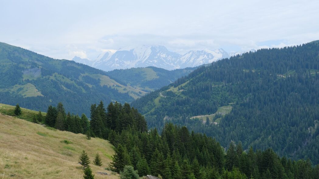 自然奇观，4K超清山脉斜坡森林雾景壁纸，3840x2160高清下载