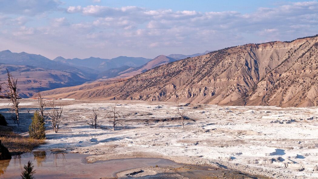 绝美山丘浮雕景致，细腻沙子与蜿蜒树枝的4K超清壁纸（3840x2160），高清风景图下载