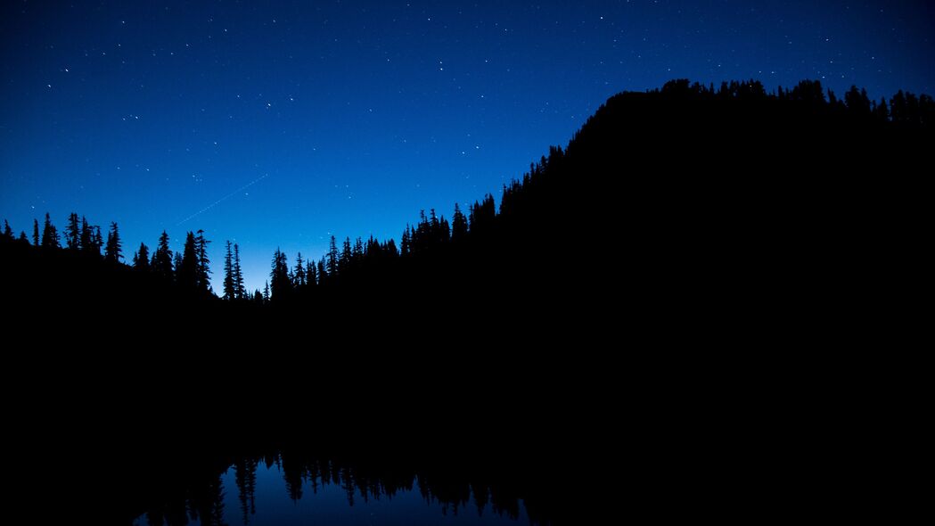 绝美夜空下的树木与璀璨星空4K超清壁纸，3840x2160分辨率，高清背景图片免费下载