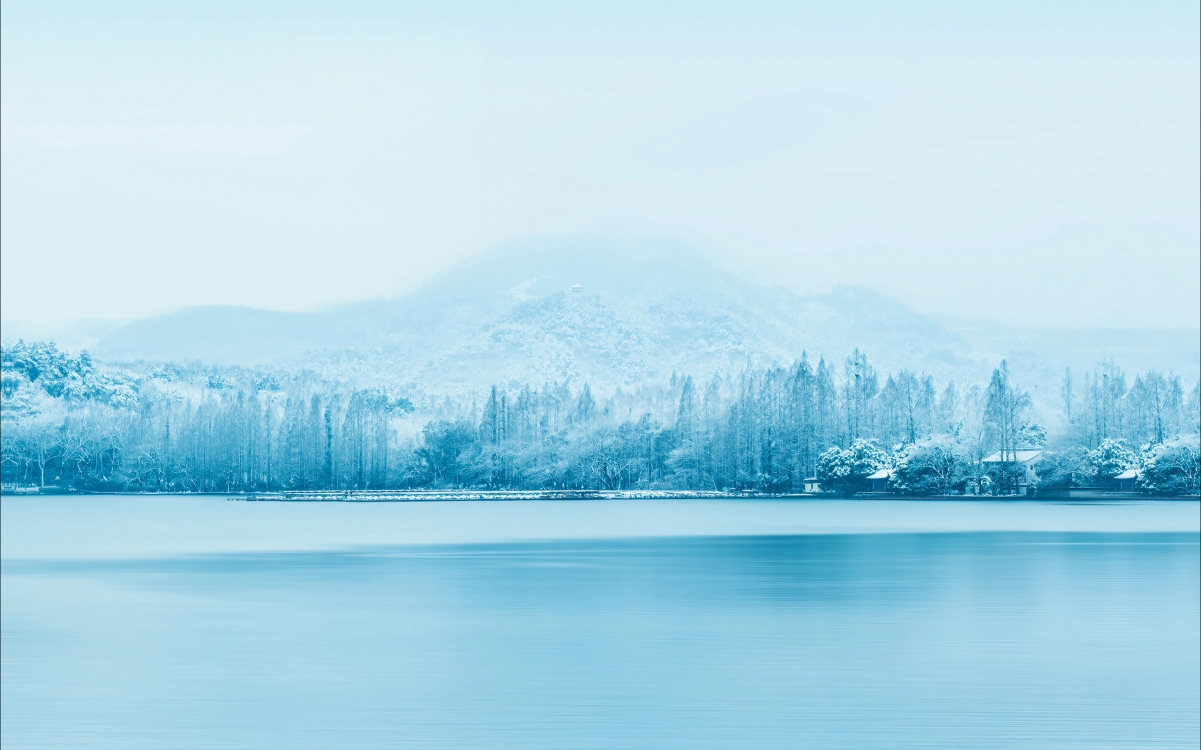 绝美冬季风光，雪景覆盖的河流与树林，2560x1600超高清壁纸下载