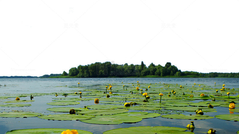 西湖阳光水面高清PNG透明背景摄影图，风景设计素材免费下载