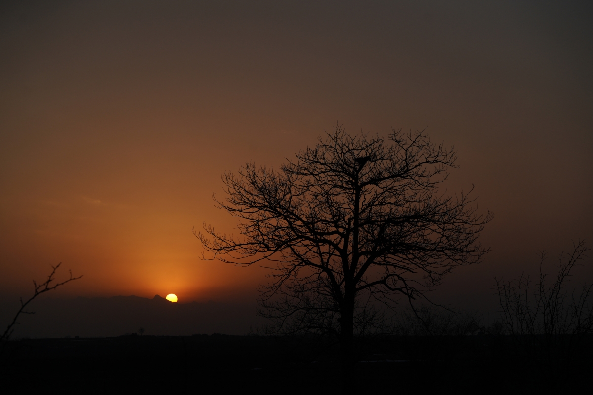 绝美黄昏景致，枯藤老树映夕阳，4K超清壁纸3840x2560，免费下载高清风景图片