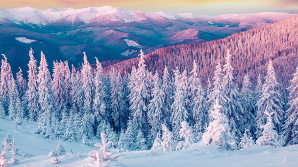 冬季雪山树木高清PNG透明背景美景摄影素材下载