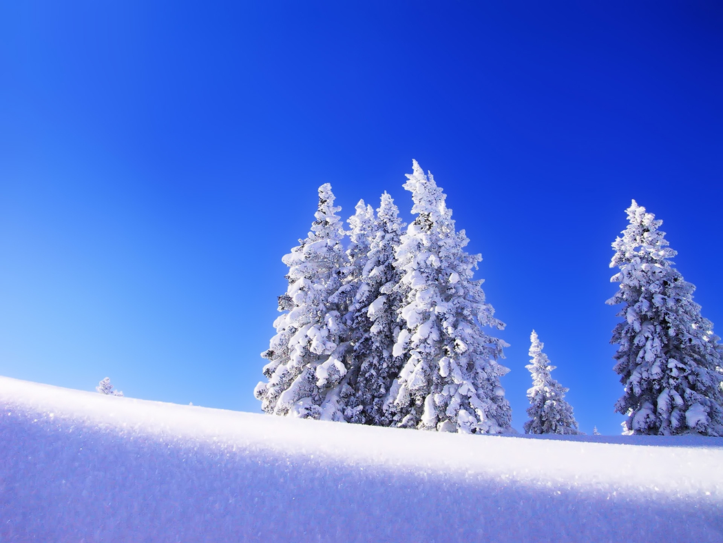 冬季雪景云杉树4K高清自然风光壁纸 1920x1440 下载