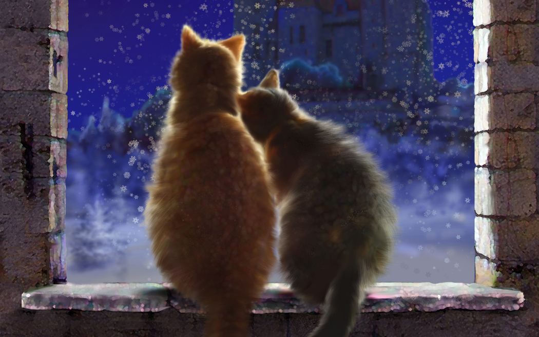 冬日雪景窗台夜，猫猫相依赏雪花，4K高清动物壁纸下载 2362x1476