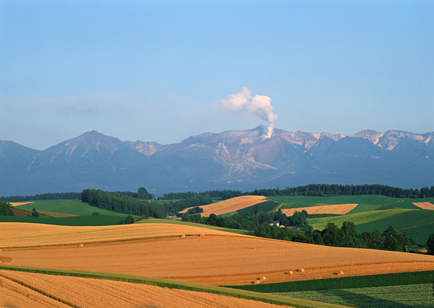 黄色平原田野天空高清PNG透明背景风景摄影素材下载