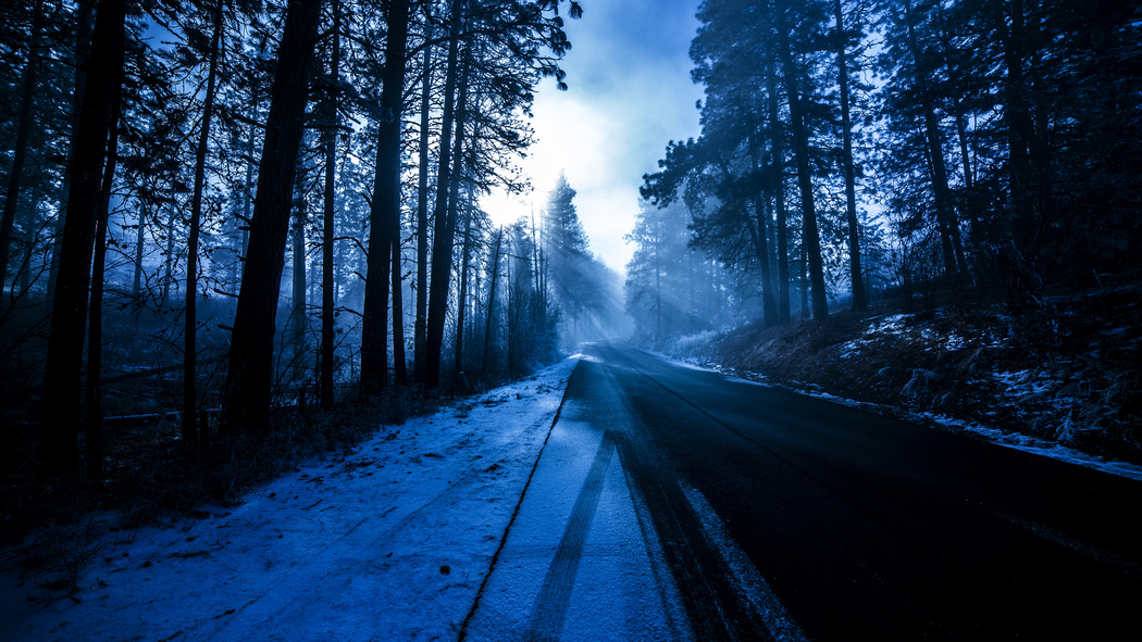 冬日雪景，树木、道路与蓝森林，太阳照耀下的4K高清风景壁纸（2048x1152）下载