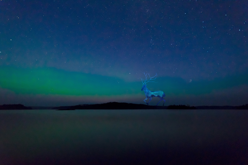 星空麋鹿4K高清壁纸，3000x2000分辨率背景图下载