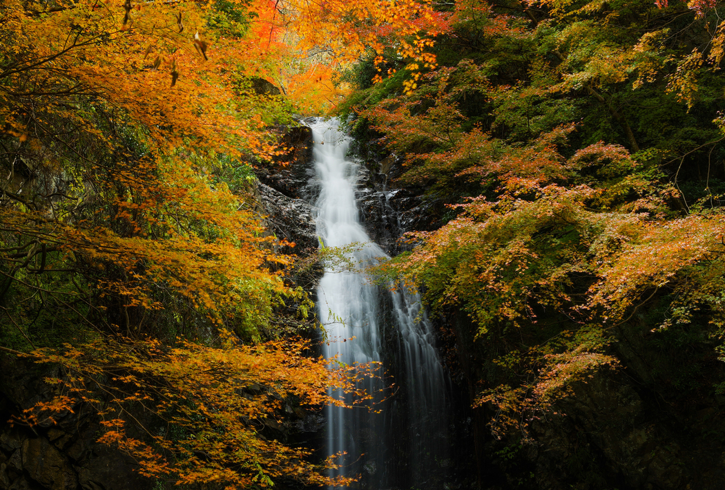 秋日森林山瀑自然风光 4K摄影高清壁纸 2048x1383 下载