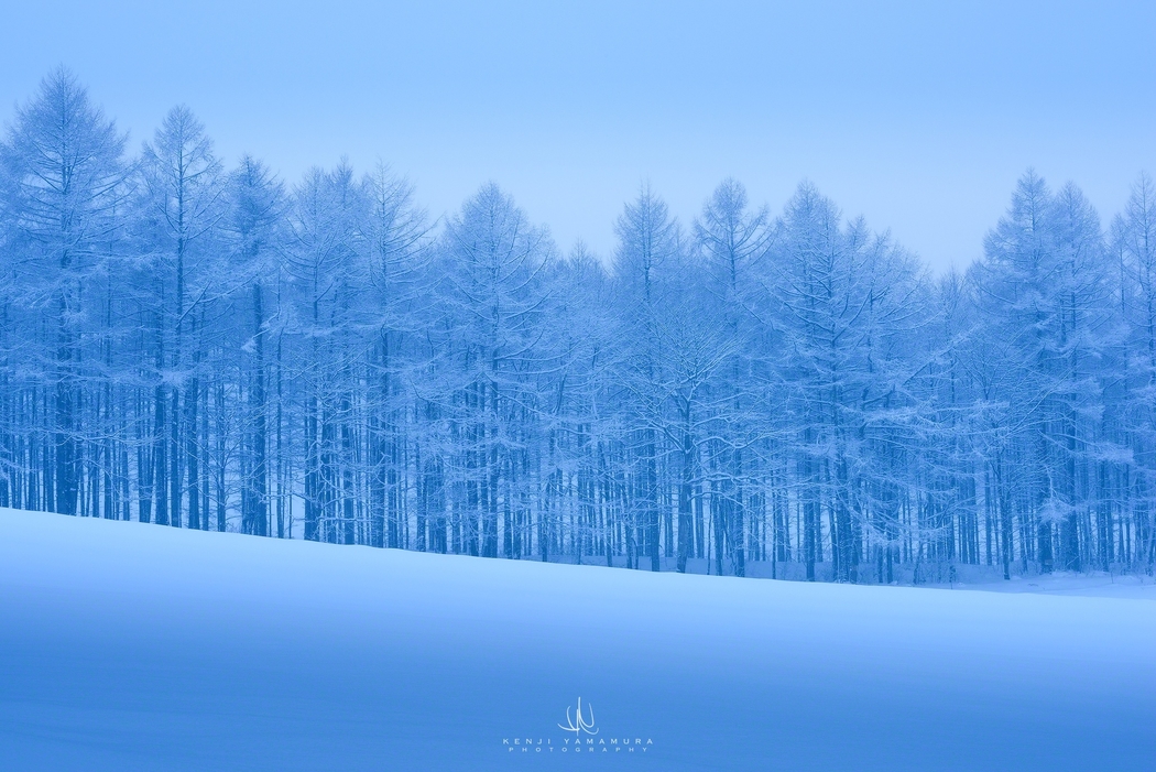 4K高清壁纸，寒冷冬日雪景树木，霜冻风光，2048x1367分辨率下载