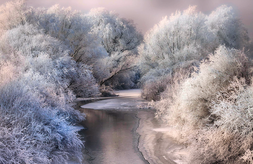 冬日树木河流雪景 4K高清风景壁纸 2048x1327 下载