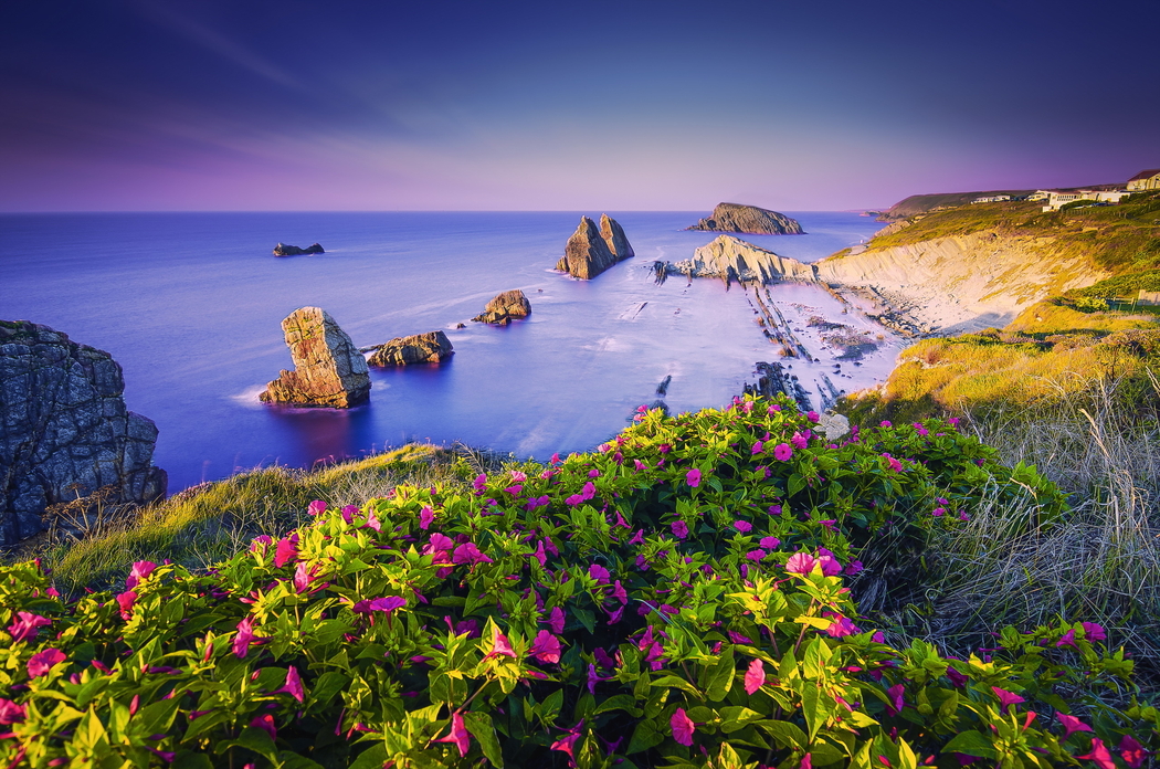 4K高清风景壁纸，夏日海浪、岩石与鲜花美景 2560x1696 下载