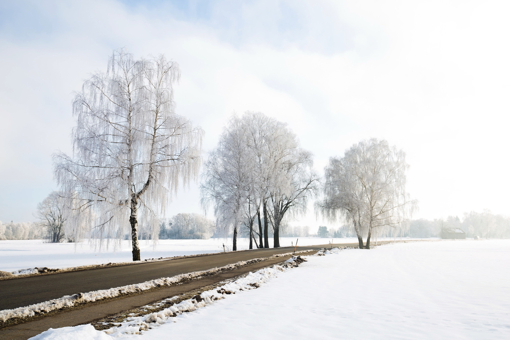 冬日雪景道路树木4K高清风景壁纸 2048x1365 下载