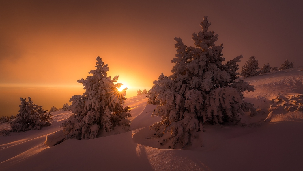 冬日雪景云杉太阳 4K高清自然风景图片壁纸 1920x1080 下载