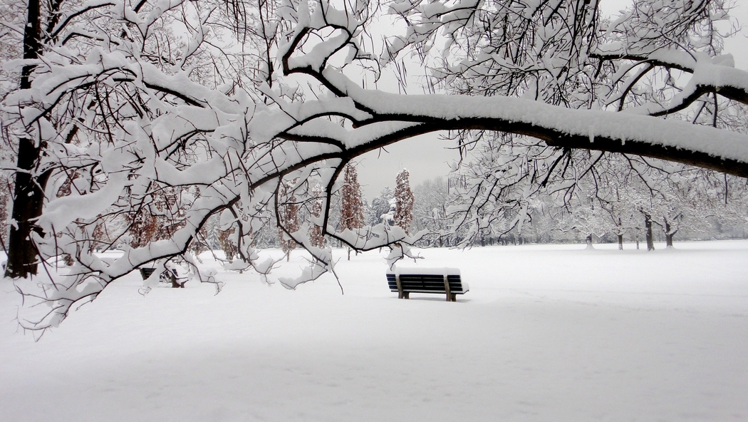 冬日雪景公园长椅4K高清风景壁纸 2560x1443 下载